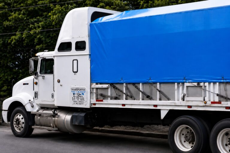 Autotransporte1
